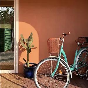 بيت ضيافة Palm Oasis *